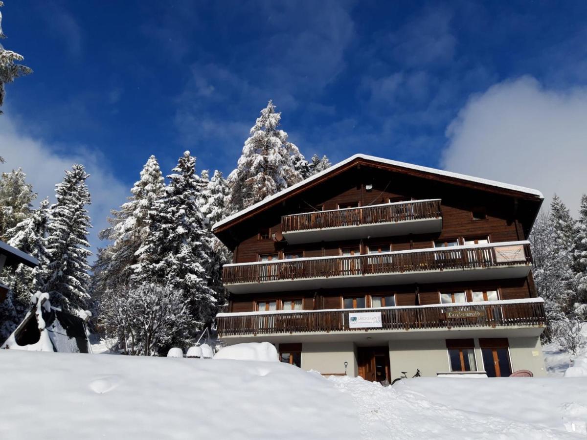 Laerchenwald Lodge Bellwald Luaran gambar
