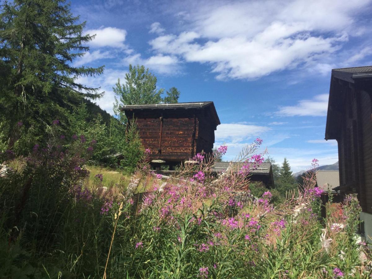 Laerchenwald Lodge Bellwald Luaran gambar