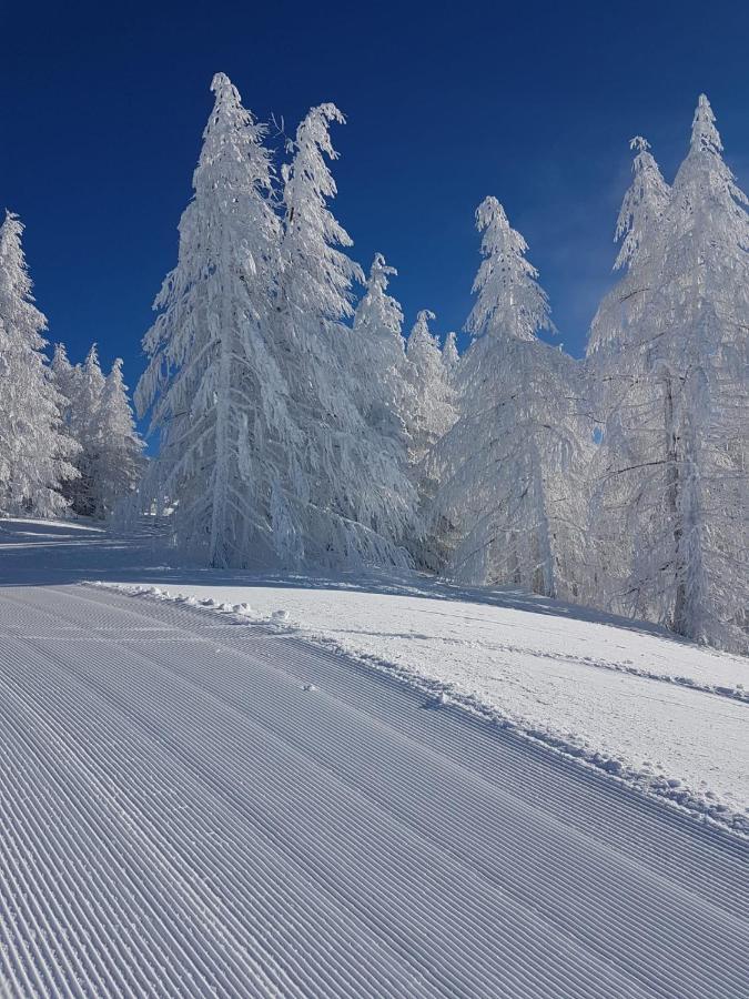 Laerchenwald Lodge Bellwald Luaran gambar