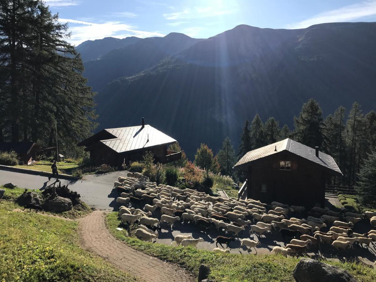 Laerchenwald Lodge Bellwald Luaran gambar