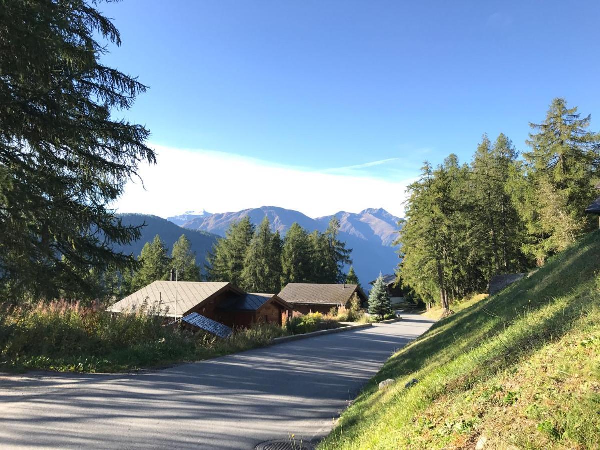 Laerchenwald Lodge Bellwald Luaran gambar